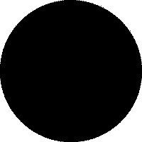 7 ani de Comunitate